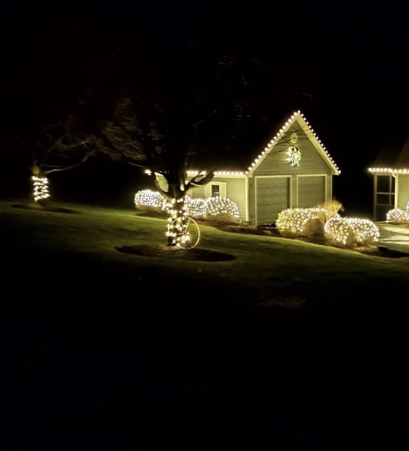 Holiday light installation Buffalo Grove IL — seasonal lights